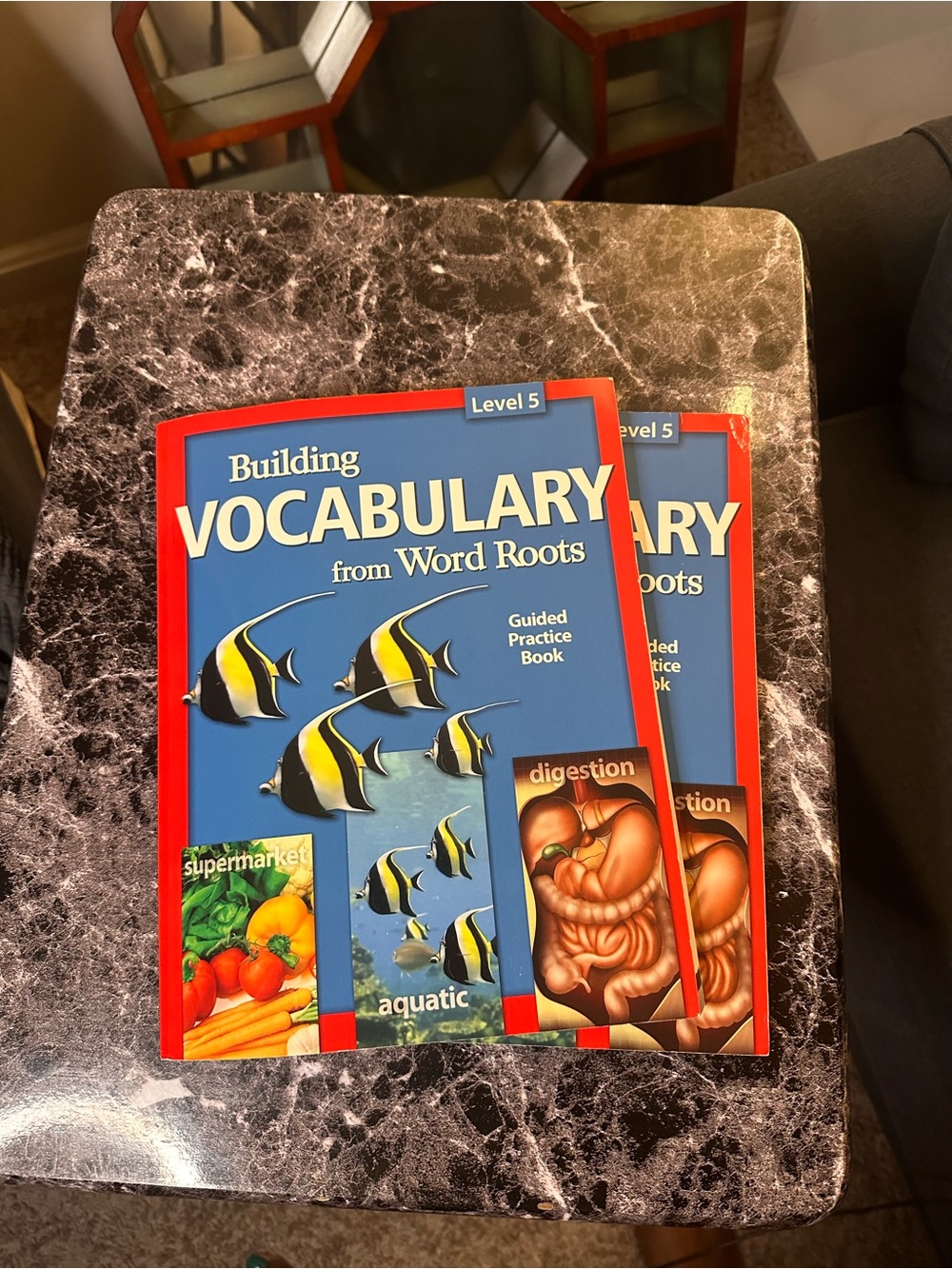 Building Vocabulary from Word Roots - Blue and Red Educational Workbook